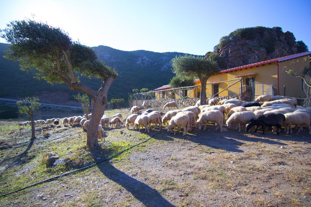 Agriturismo Sa Rocca Iglesias Exteriör bild
